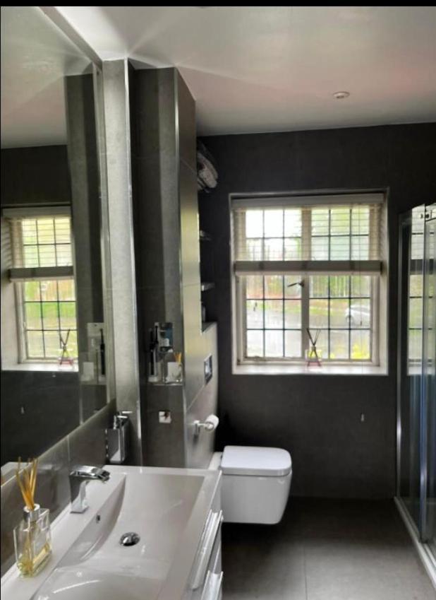 Wandsworth, South London Deluxe King Room 4 エクステリア 写真